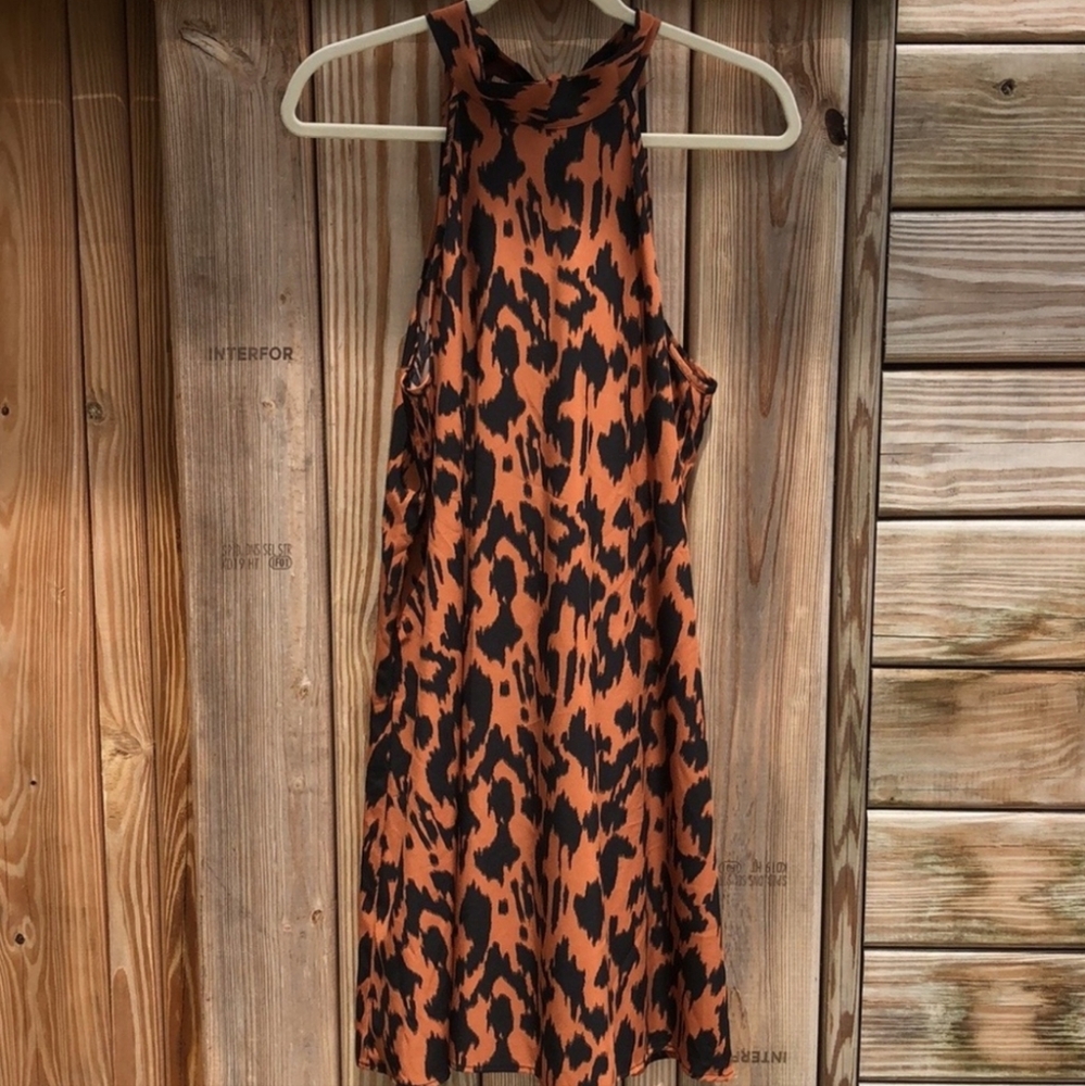 Animal Print Dress